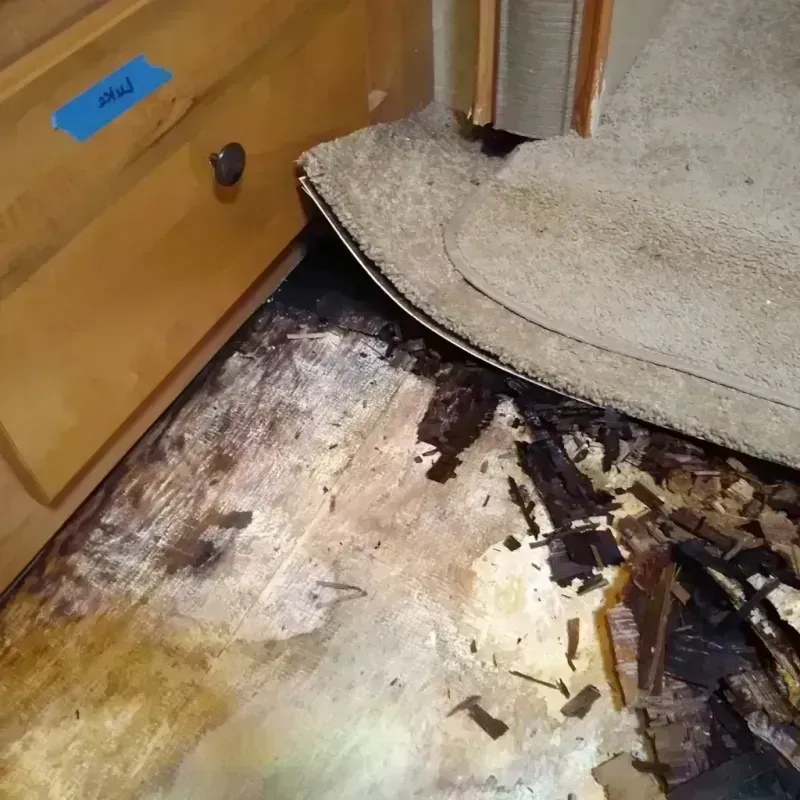 Wood Floor Water Damage in Dollar Bay, MI